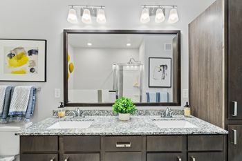 A bathroom with a large mirror and a plant on the counter.